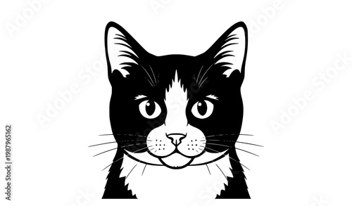 Bold cute black and white cat vector illustration with strong cartoon pet design