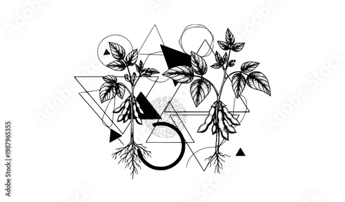 Soybean plant with abstract botanical elements vector in black and white design