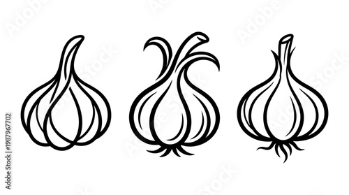Stylized Black and White Garlic Bulbs