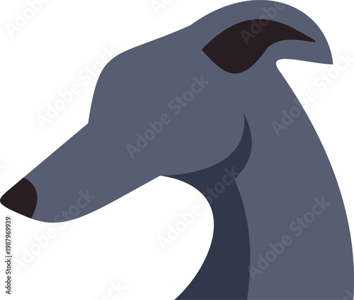 Greyhound head showcasing a sighthound breed in cartoon style