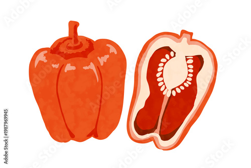 赤いパプリカの手描き風ベクターイラスト