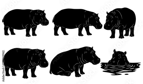 Hand drawn hippopotamus silhouette vector set with different poses isolated on white background