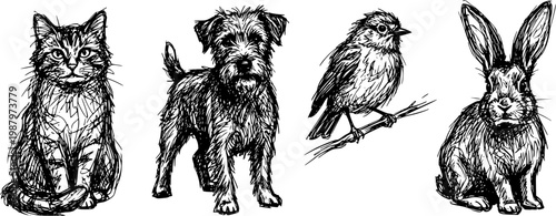 Hand Drawn Animal Sketch Set – Wildlife and Pet Line Art Illustration Collection