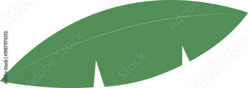 열대 지방의 바나나 잎 야자나무