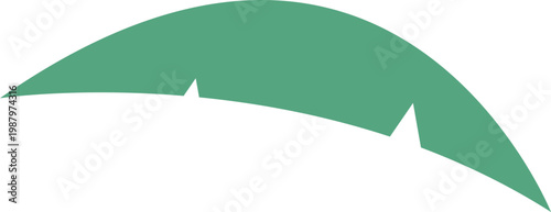 열대 지방의 바나나 잎 야자나무