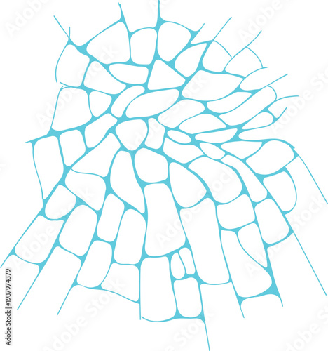 물결 물 반사 물 비침