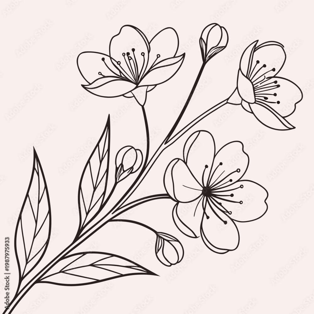 Obraz premium Elegant Floral Line Art with Pastel Background Vector Design