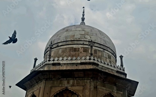 Graceful Birds Soaring in the Cloudy Sky Above the Mughal Architecture of Sheikh Chilli's Tomb Complex