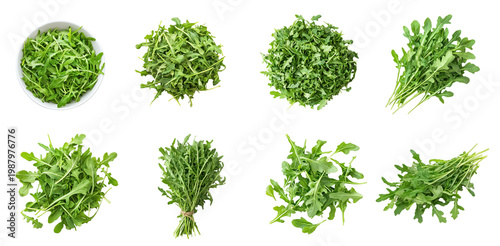 Collection of Arugula incorporated into a dish, often as a topping for pizza, mixed into pasta, or added to salads. full length isolate on transparent background