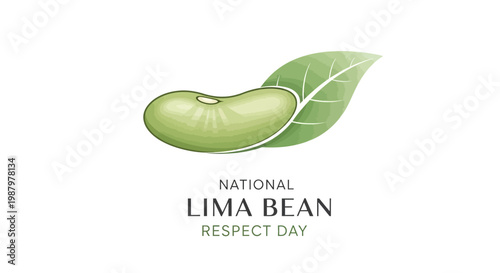 A National Lima Bean Respect Day illustration features a fresh lima bean with a green leaf against a clean white background, conveying a healthy eating concept with vibrant colors