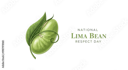 A detailed vector illustration celebrates National Lima Bean Respect Day, depicting a vibrant green lima bean with fresh leaves against a clean white background, promoting a healthy eating