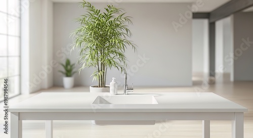Modern kitchen countertop, white sink, minimalist interior design, empty room