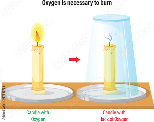 Oxygen needs to burn fire