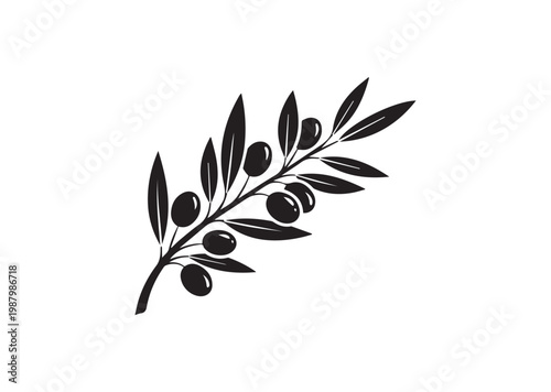Olive Branch icon, Olive Branch Silhouette vector