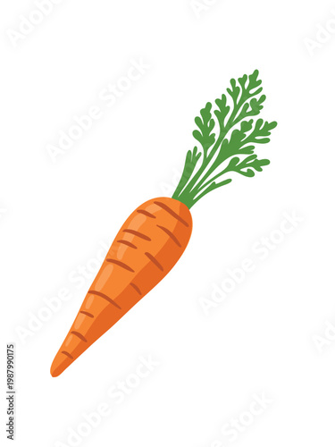 carrot vector illustration isolated on white background