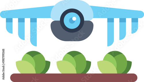 Agriculture drone flying over cabbage plants for precision farming