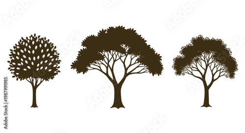 Dark silhouettes of three distinct tree species including a fruit tree and two broad-leafed trees against a clean white background for nature design.