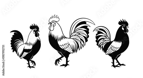 Trio of roosters depicted in different artistic styles including silhouette and detailed line art against a clean white background for farm branding.