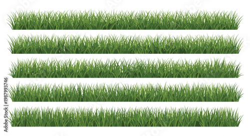 Set of five long horizontal borders featuring thick lush green grass blades of varying heights and textures on a white background.