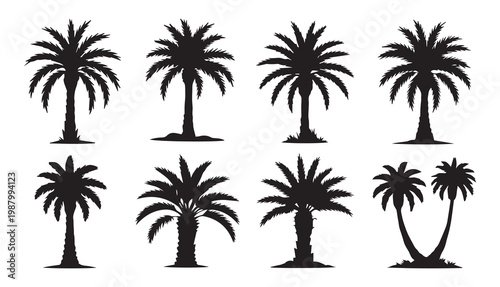 Bild auf Leinwand Silhouette set of date palm tree vector tropical plant icon minimal black nature