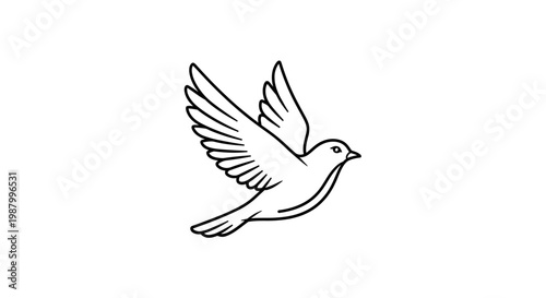 Flying White Dove in Air.