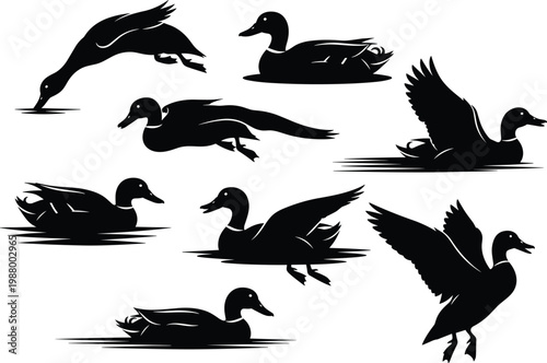 duck silhouettes, waterfowl collection, flying swimming ducks, black bird set, wildlife illustration, nature clipart, aquatic birds, vector design