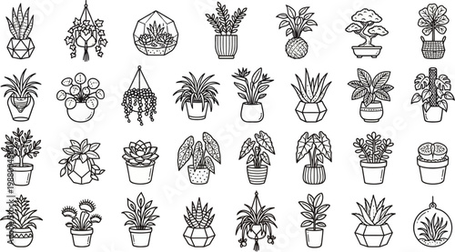 Hanging terrarium and decorative houseplant line vector icons