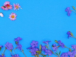 frame with flowers