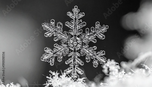 Close-up of a delicate snowflake on snow.