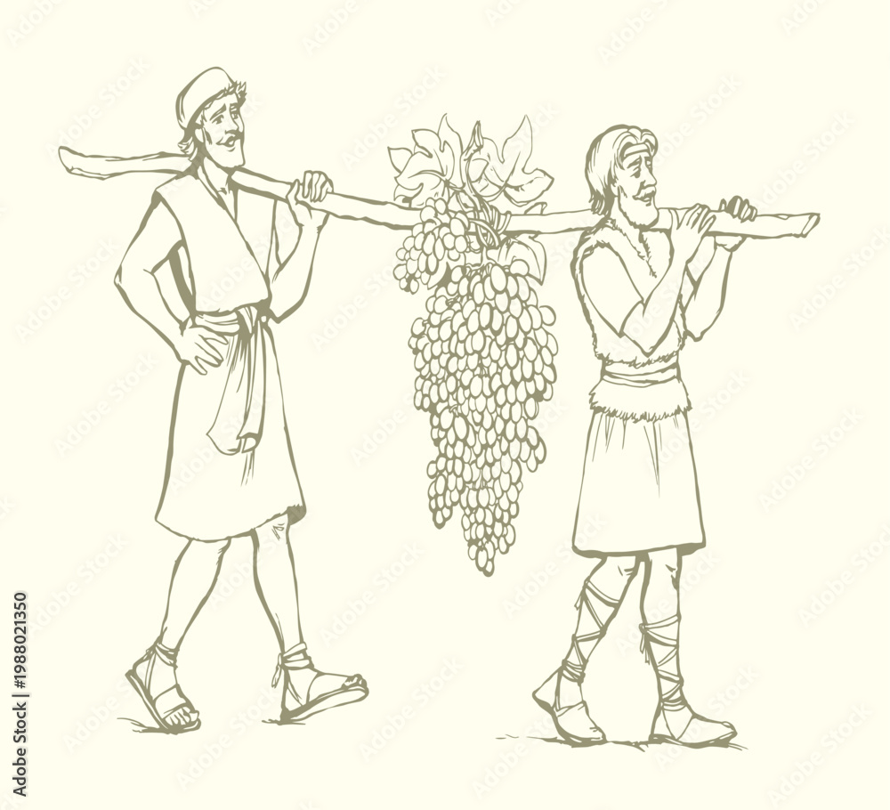 Fototapeta premium Vector drawing. Two men bear a grape.