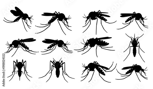 Mosquito silhouette vector set with insects in different positions isolated on white background