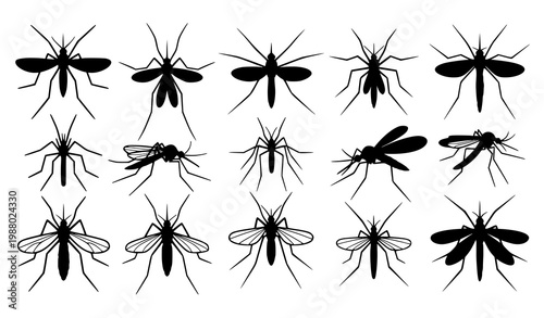 Minimal mosquito silhouette set with insect shapes in multiple views isolated on white background