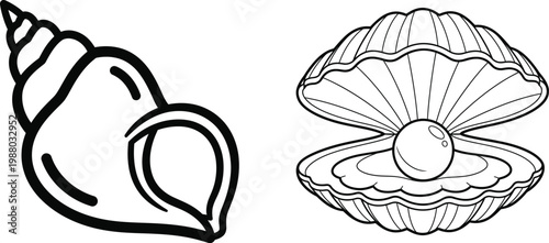 Two line art illustrations, one of a conch shell and another of an open oyster