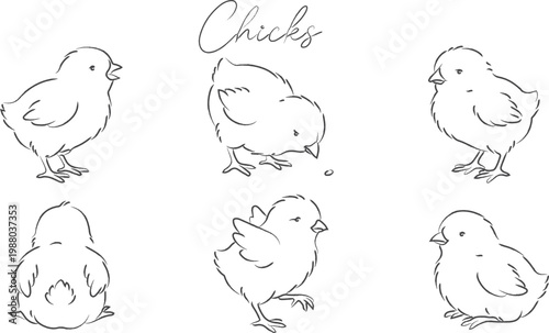 Minimalist hand drawn black line art clipart set white  featuring six adorable baby chicks in different cute poses.