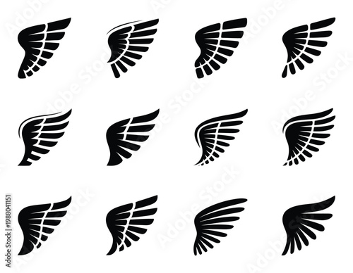 Collection of Twelve Black Wing