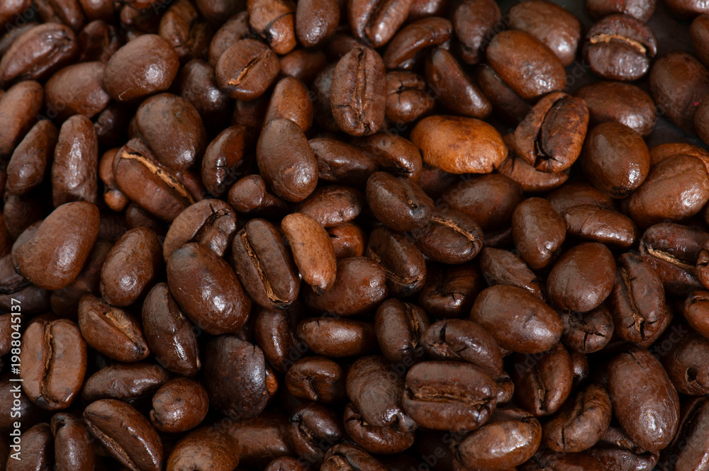 Fototapeta premium coffee beans in studio