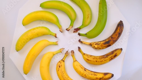 Banana Ripeness Cycle. A colorful display of bananas in a circular pattern, showing their ripening stages from green to yellow to brown