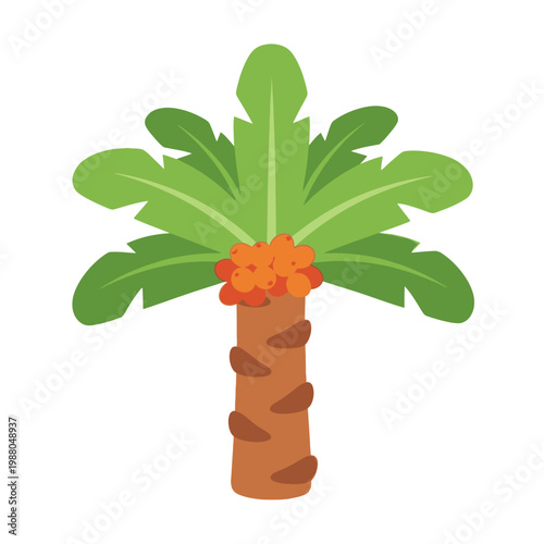 Cartoon palm tree with orange dates, vector illustration, isolated on white background