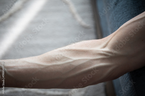 Closeup muscular arm veins natural lighting