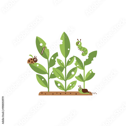 Garden Pests: Caterpillar, Ladybug, Snail Eating Green Leaves