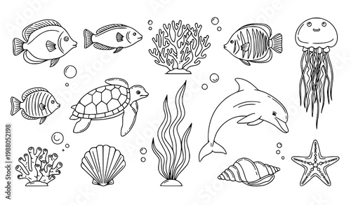 Ocean creatures line art vector set marine fish dolphin turtle coral