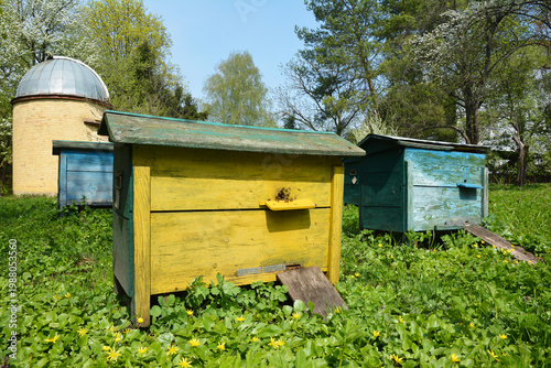 Beehives and observatory dome in the garden