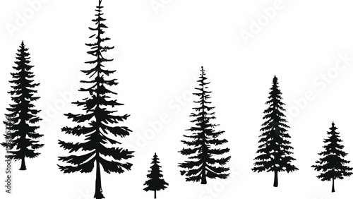 A collection of silhouetted evergreen trees of varying heights against a white background
