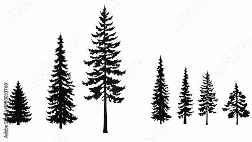 A silhouette illustration depicts a row of coniferous trees varying in height