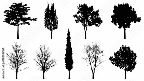 Collection of silhouetted trees in varying shapes and sizes against a white background