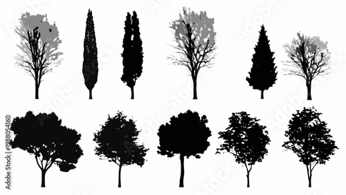 Collection of various tree silhouettes against a stark white background
