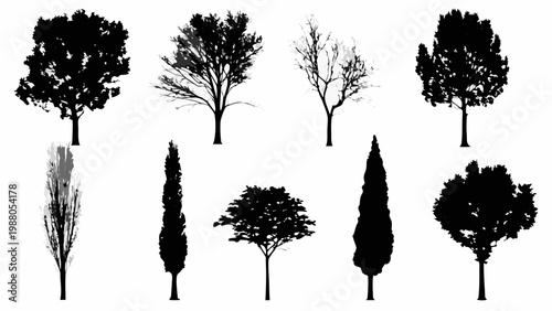 Silhouettes of various trees and shrubbery against a stark white background