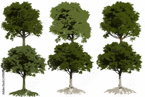 A collection of six stylized green trees with visible roots on a white background