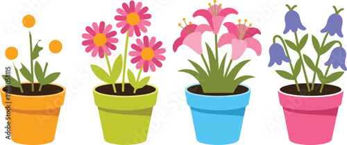 Set of colorful potted flowers including daisies lilies and bluebells for home garden decor spring floral arrangements and botanical vector illustration