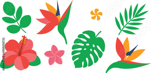 Set of tropical flowers and jungle leaves including hibiscus bird of paradise monstera and palm fronds for exotic summer vacation and botanical designs